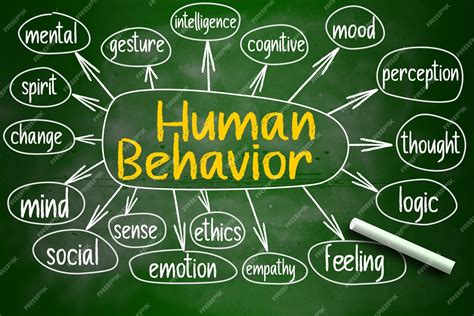 human behaviour .